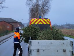 Jugendfeuerwehr &raquo; Tannenbaumsammlung 13.01.2024